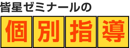 皆星ゼミナールの個別指導